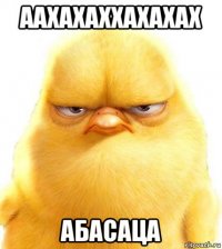 аахахаххахахах абасаца