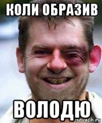 коли образив володю