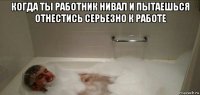 когда ты работник нивал и пытаешься отнестись серьезно к работе 