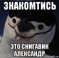 знакомтись это снигавик александр
