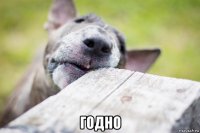  годно