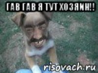 гав гав я тут хозяин!! 
