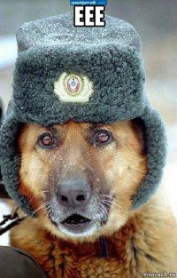 еее 