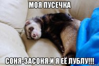 моя пусечка соня-засоня.и я её лублу!!!