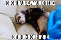 засыпая, думаю о тебе. спокойной ночки
