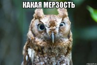 какая мерзость 