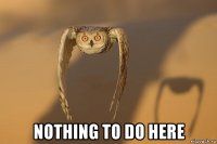  nothing to do here
