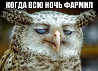 когда всю ночь фармил 