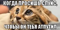 когда просишь спуйс, чтобы он тебя атпутил