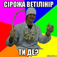 сірожа ветілінір ти де?