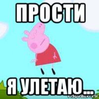 прости я улетаю...