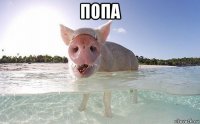 попа 