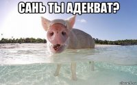 сань ты адекват? 