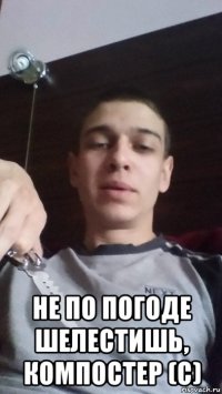  не по погоде шелестишь, компостер (с)