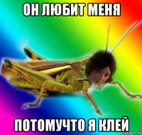 он любит меня потомучто я клей