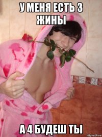 у меня есть 3 жины а 4 будеш ты