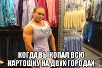  когда выкопал всю картошку на двух городах