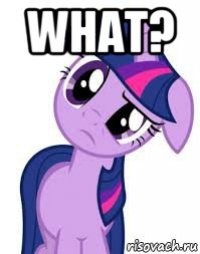what? 