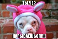ты чё? нарываешься!!!!
