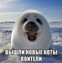  вышли новые коты воители
