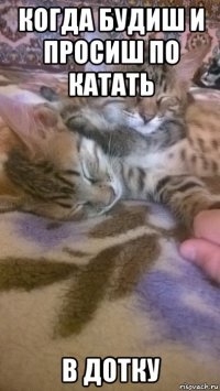 когда будиш и просиш по катать в дотку