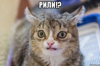 рили!? 