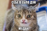 себе в ебло дуй мудак