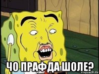  чо прафда шоле?