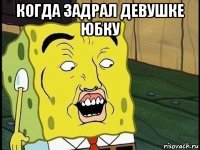 когда задрал девушке юбку 