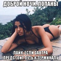 доброй ночи, попаны лайк, если завтра предстоит путь к терминалу