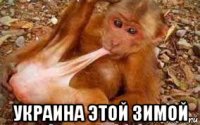 украина этой зимой