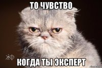 то чувство когда ты эксперт