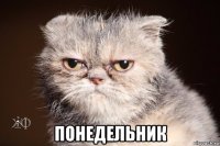  понедельник