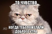 то чувство когда тебе пожелали доброго утра