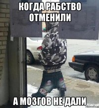 когда рабство отменили а мозгов не дали