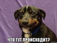  что тут происходит?