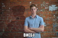  виебу