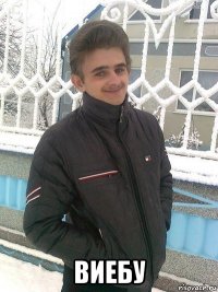  виебу