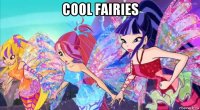cool fairies 