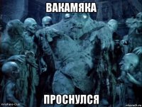 вакамяка проснулся