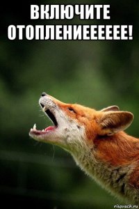включите отоплениееееее! 