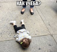 как учёба? 