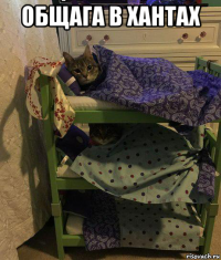 общага в хантах 
