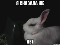 я сказала же нет