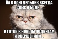 йа в понедельник всегда свеж и бодр... и готов к новым подвигам и свершениям...