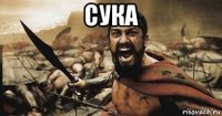 сука 