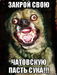 закрой свою чатовскую пасть сука!!!