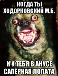 когда ты ходорковский м.б. и у тебя в анусе сапёрная лопата