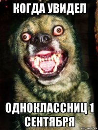 когда увидел одноклассниц 1 сентября