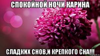 спокойной ночи карина сладких снов,и крепкого сна!!!